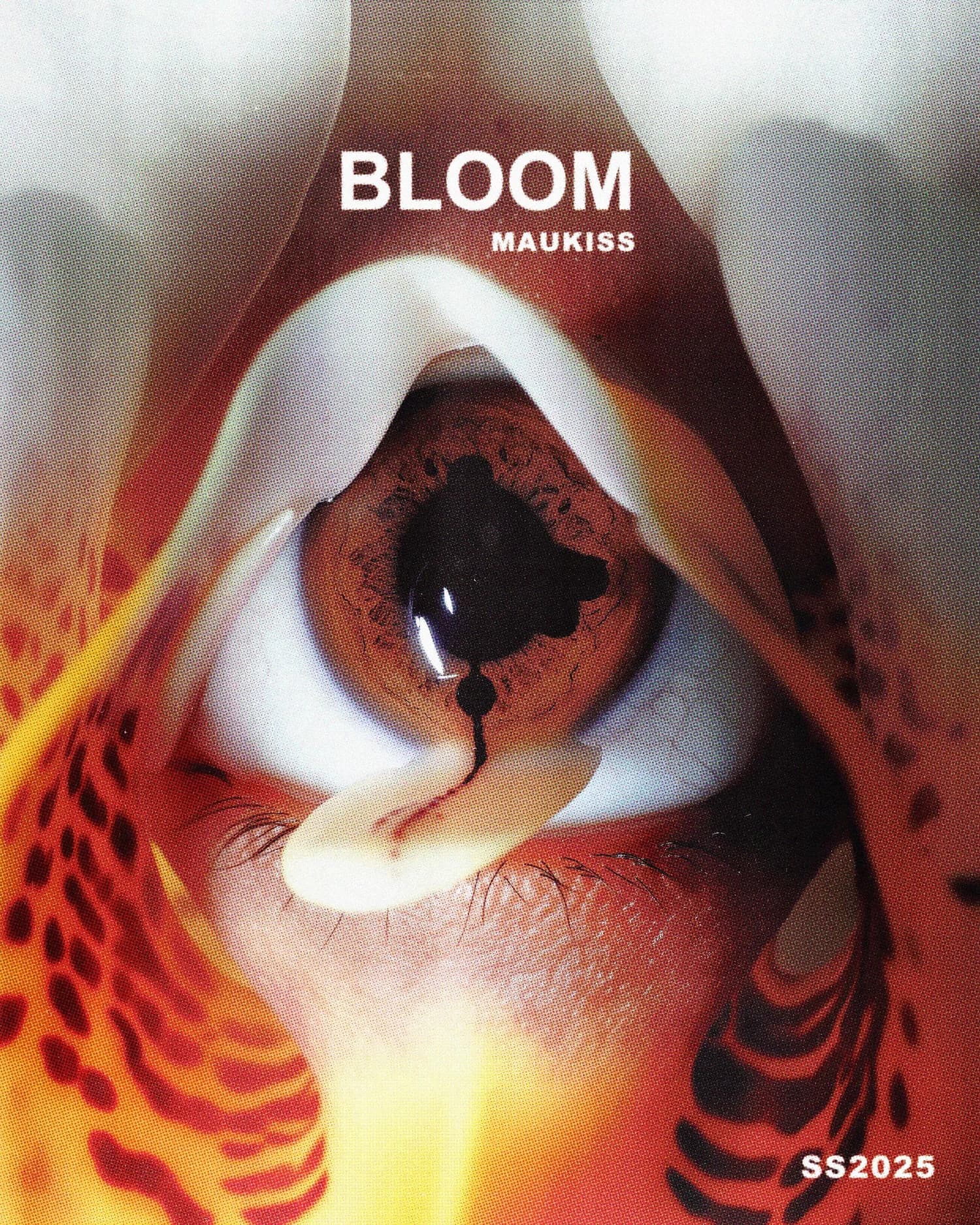 bloom project